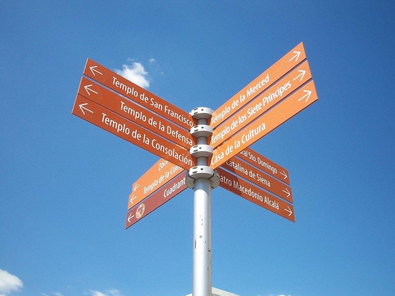 Insightful Guidance