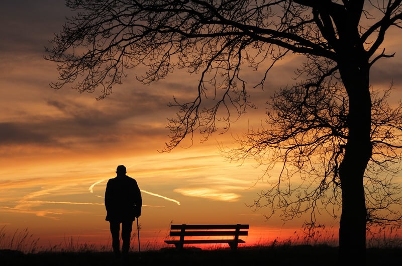 Silhouette in peaceful sunset